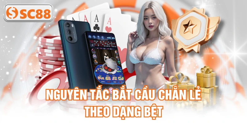 Nguyên tắc bắt cầu chẵn lẻ theo dạng bệt