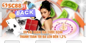 Ưu Đãi Hoàn Trả Cược SC88 - Thanh Toán Tối Đa Lên Đến 1,2%